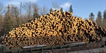 Einblicke bei Dahinden 