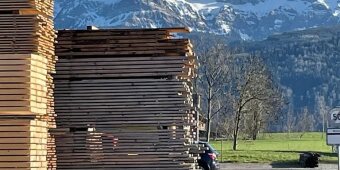 Die Holzindustrie braucht und verarbeitet mehr Schweizer Holz 