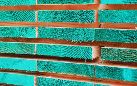 Verwurzelt in der Region — sichtbar in der digitalen Welt