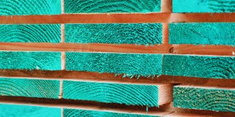 Verwurzelt in der Region — sichtbar in der digitalen Welt 