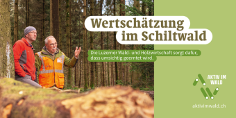 Wald-Sensibilisierungskampagne
