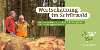 Wald-Sensibilisierungskampagne  