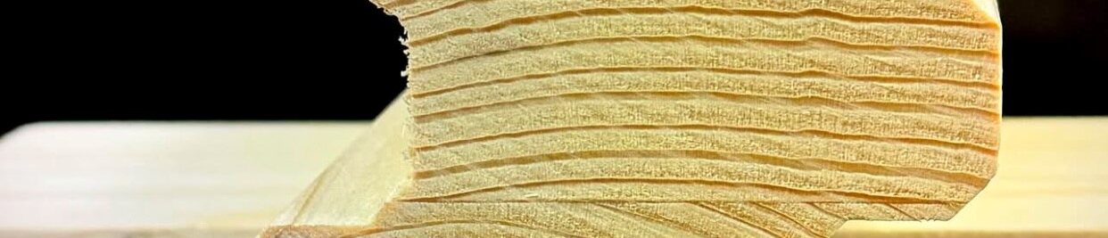 Profilleisten Flumroc