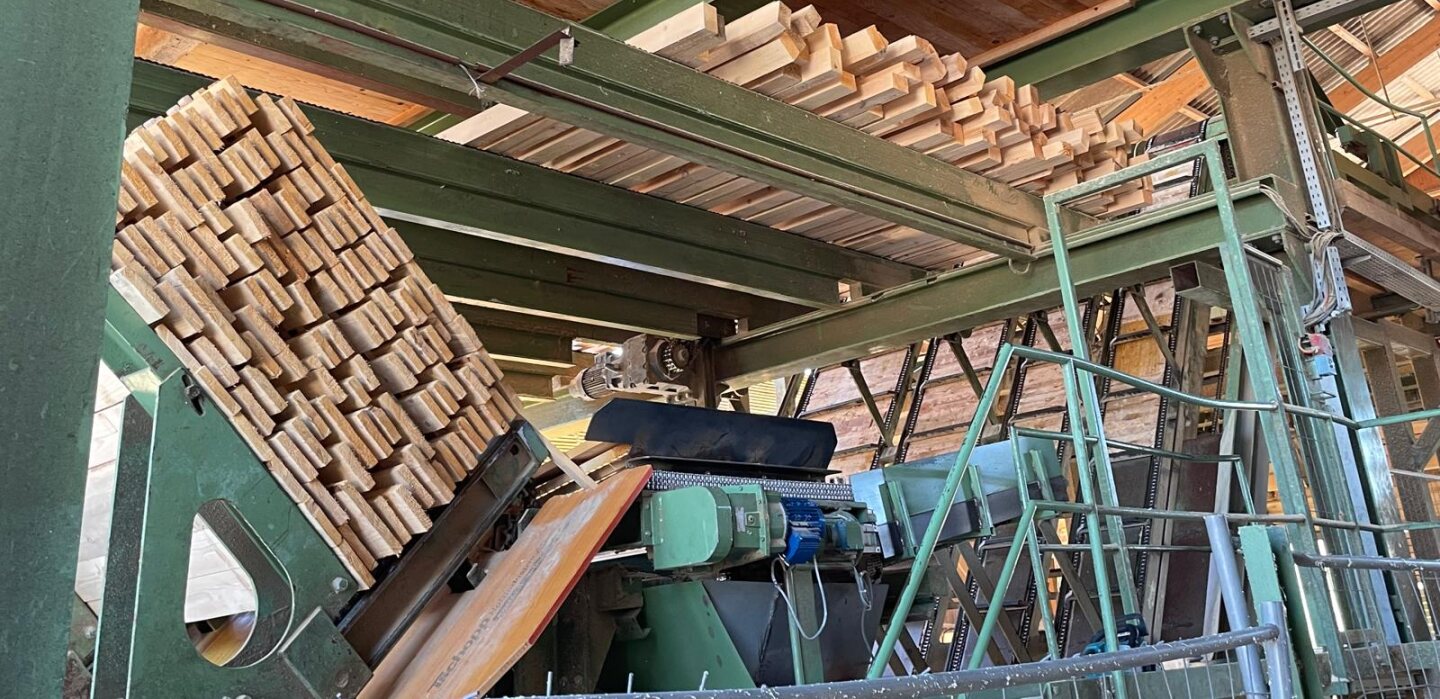 PHOTO 2025 05 01 08 14 37 1